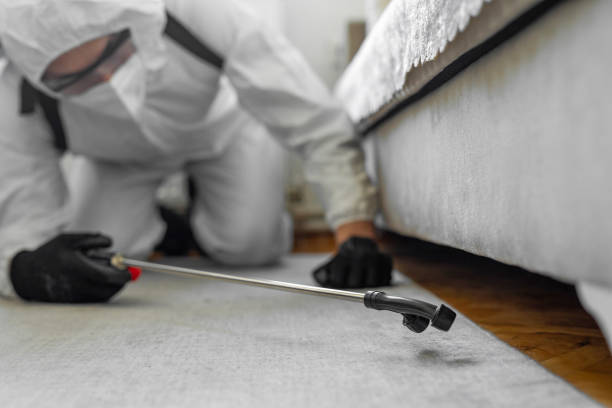 Professional Ant Control technician working in Nevada County County, AR